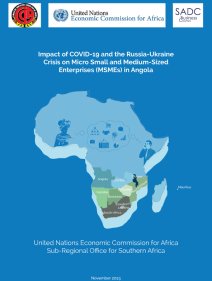 Impact of COVID-19 and the Russian-Ukraine Crisis on Micro Small and Medium-Sized Enterprises (MSMEs) in Angola