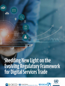 Shedding new light on the evolving regulatory framework for digital services trade