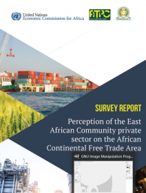 Survey report: Perception of the East African Community private sector on the African Continental Free Trade Area