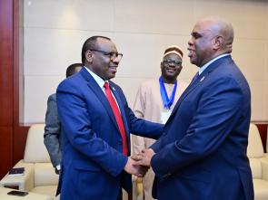 Bilateral meetings of the Executive Secretary during the AU Summit (February 2024)