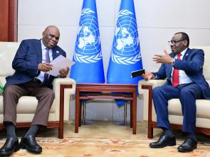 Bilateral meetings of the Executive Secretary during the AU Summit (February 2024)