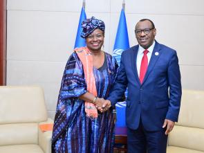 Bilateral meetings of the Executive Secretary during the AU Summit (February 2024)