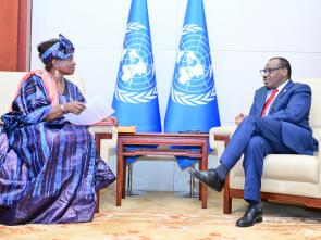 Bilateral meetings of the Executive Secretary during the AU Summit (February 2024)