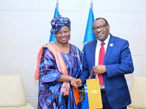 Bilateral meetings of the Executive Secretary during the AU Summit (February 2024)