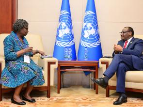 Bilateral meetings of the Executive Secretary during the AU Summit (February 2024)