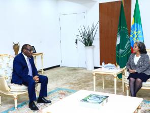 Bilateral meetings of the Executive Secretary during the AU Summit (February 2024)