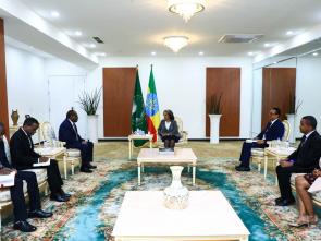 Bilateral meetings of the Executive Secretary during the AU Summit (February 2024)