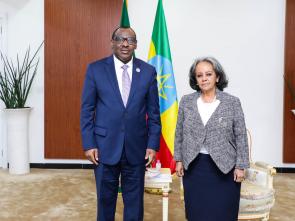 Bilateral meetings of the Executive Secretary during the AU Summit (February 2024)