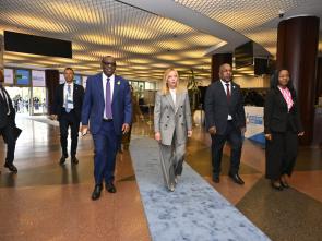 UN Food Systems Summit +4 Stocktake (UNFSS+4) - 28 July 2025