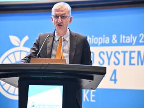 UN Food Systems Summit +4 Stocktake (UNFSS+4) - 29 July 2025