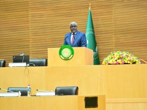 44th Ordinary Session of the Executive Council (AU Summit)