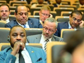 44th Ordinary Session of the Executive Council (AU Summit)