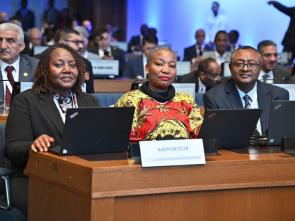 UN Food Systems Summit +4 Stocktake (UNFSS+4) - 28 July 2025