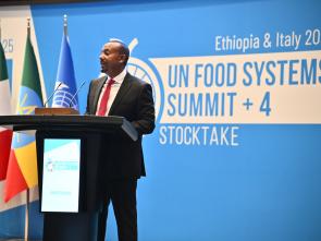 UN Food Systems Summit +4 Stocktake (UNFSS+4) - 28 July 2025