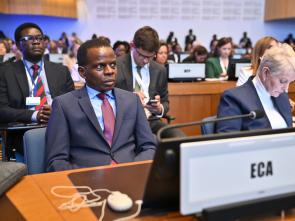 UN Food Systems Summit +4 Stocktake (UNFSS+4) - 28 July 2025