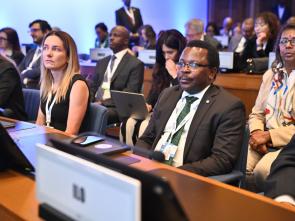 UN Food Systems Summit +4 Stocktake (UNFSS+4) - 28 July 2025
