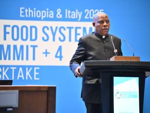 UN Food Systems Summit +4 Stocktake (UNFSS+4) - 28 July 2025