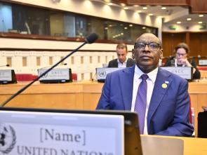 UN Food Systems Summit +4 Stocktake (UNFSS+4) - 28 July 2025