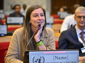 UN Food Systems Summit +4 Stocktake (UNFSS+4) - 28 July 2025