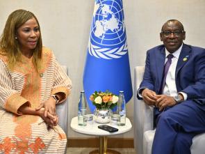UN Food Systems Summit +4 Stocktake (UNFSS+4) - 28 July 2025