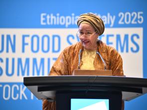 UN Food Systems Summit +4 Stocktake (UNFSS+4) - 29 July 2025