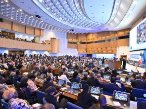 UN Food Systems Summit +4 Stocktake (UNFSS+4) - 29 July 2025