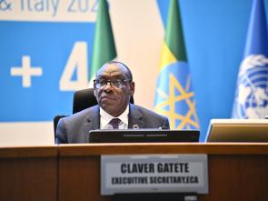 UN Food Systems Summit +4 Stocktake (UNFSS+4) - 29 July 2025