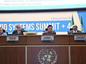UN Food Systems Summit +4 Stocktake (UNFSS+4) - 29 July 2025