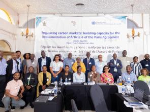 Article 6 Workshop