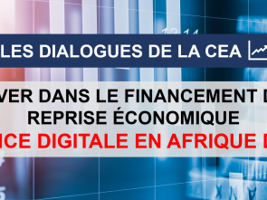 Innover dans le financement de la reprise économique : la finance digitale en Afrique du Nord