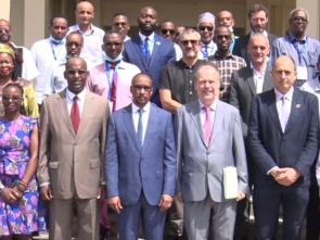 Djibouti identified its priority sectors in the context of the AfCFTA