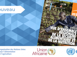 Un nouveau rapport révèle que les fruits, les légumes et les protéines restent hors de portée pour la plupart des Africains