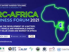 Moving Africa up the ladder in the battery, electric vehicle (BEV) and renewable energy value chain and market