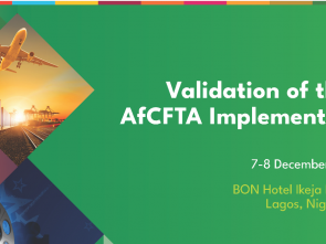 Validation session of Nigeria’s national strategy and implementation plan for the AFCFTA