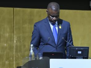 Remarks by Ambassador of Rwanda, Maj. Gen. (Rtd) Charles Karamba at the re-inauguration of the renovated Africa Hall