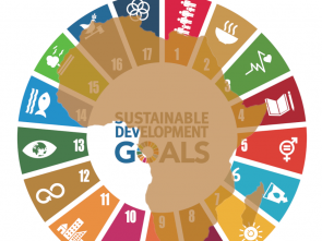 Experts call for renewed focus on sustainable development goals in Africa