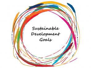 Niamey Declaration: leaders emphasize importance of partnerships for transformative change in SDG implementation