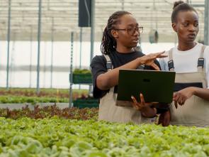 Boosting female entrepreneurship North Africa hinges on enhanced use of digital technologies and access to finance