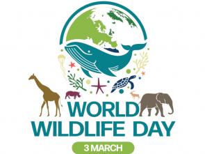 The Secretary-General’s Message for World Wildlife Day