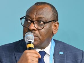 ECA's Gatete calls for urgent, ambitious climate action