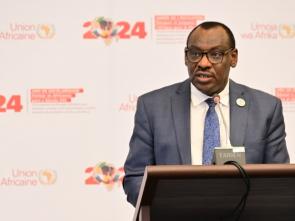 Statement by Mr. Claver Gatete at the pre-launch of the African Union Theme for 2024