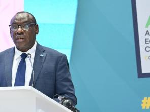 Statement by Mr. Claver Gatete at the African Economic Conference 2024