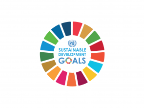 New ECA study shows Africa may not meet SDG7 targets