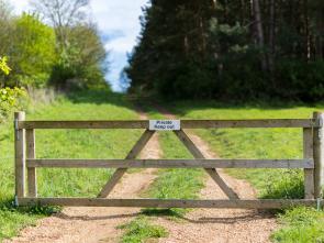 ECA Gives Impetus to the Southern African Regional Agenda on Land Policy Reform