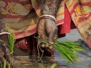 DRC to Mainstream Gender in Draft National Land Policy