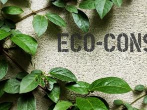 [Blog] One Size Fits None: How Africa is Redefining Sustainability Standards on Its Own Terms