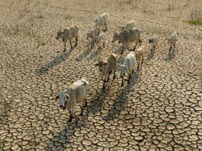 Towards a common vision on the impact of climate change on human security in Ethiopia