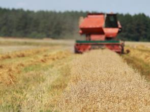 La CEA convie l’Afrique Centrale et l’Afrique de l’Est à une session intergouvernementale conjointe sur la qualité, la sécurité alimentaire et l’attractivité au service de l’industrialisation et la diversification économique