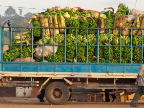 The AfCFTA, boosting regional integration through trade