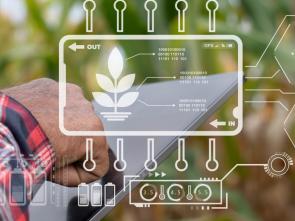 OPINION: Agricultural value chains for a crisis-driven world: 22 billion reasons for Africa to invest in digital